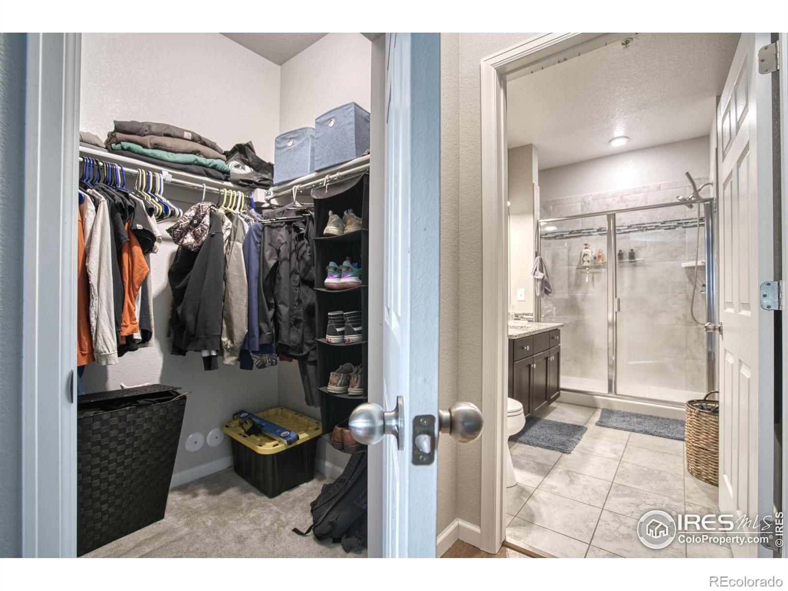 804 Summer Hawk Drive Longmont CO 80504