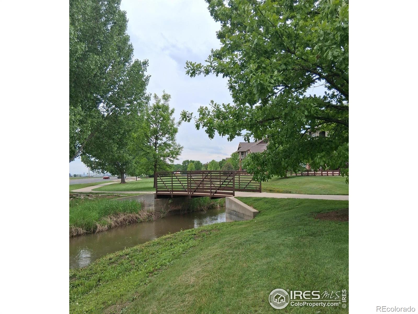804 Summer Hawk Drive Longmont CO 80504