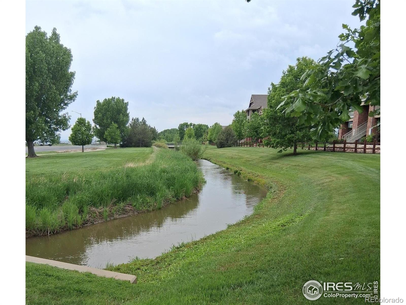 804 Summer Hawk Drive Longmont CO 80504