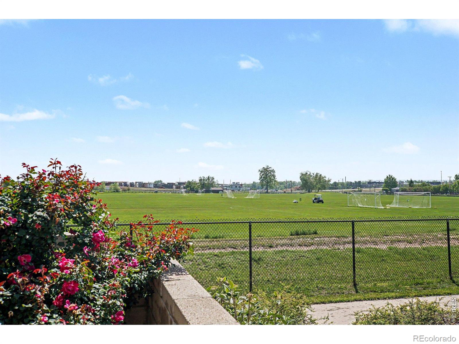 3678 Pinedale Street Boulder CO 80301