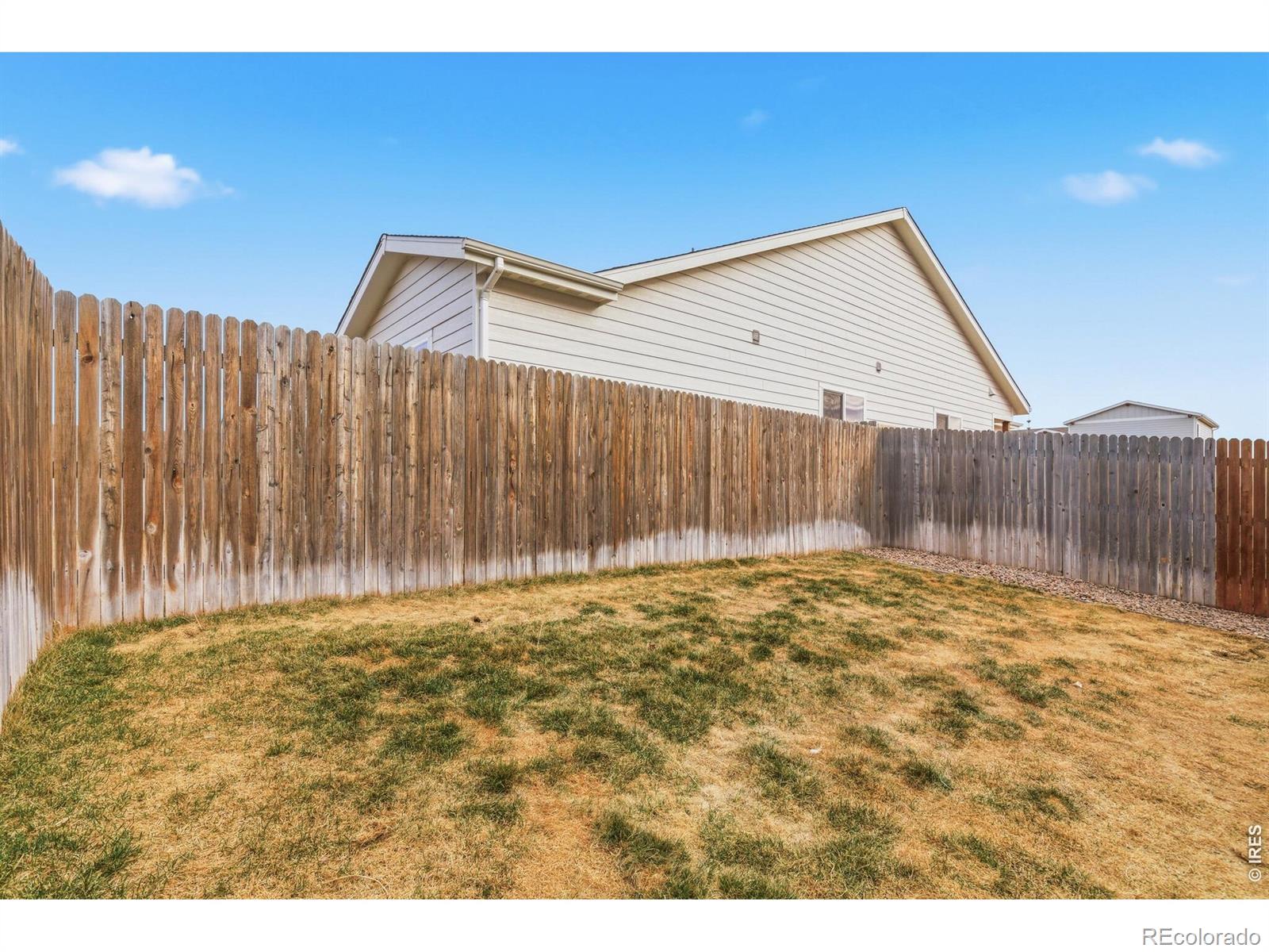 1123 Coyote Lane Wiggins CO 80654