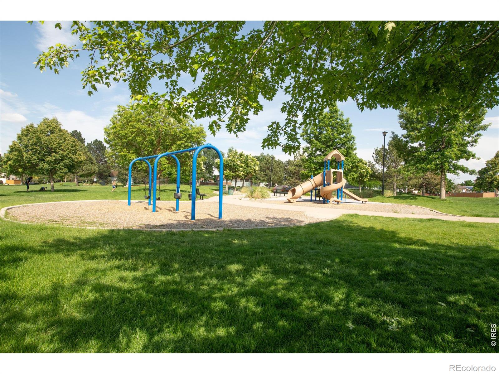 1901 W 101st Avenue Thornton CO 80260