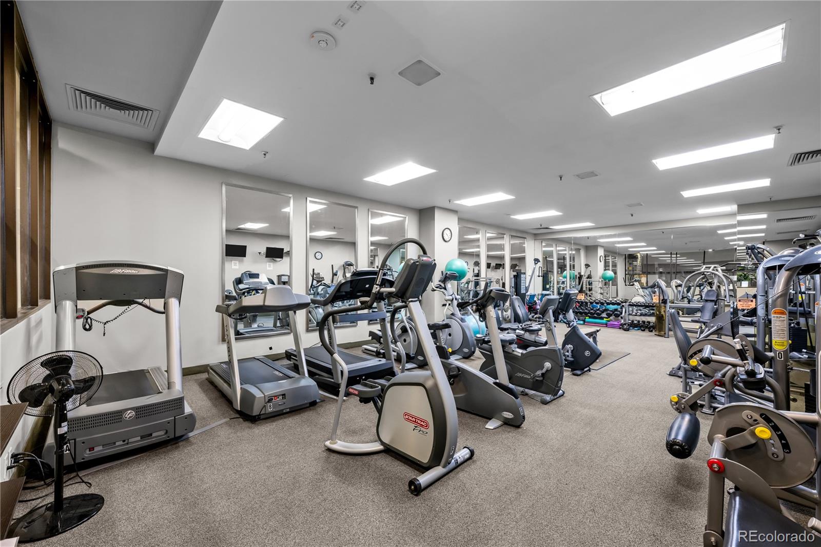 1551 Larimer Street Denver CO 80202
