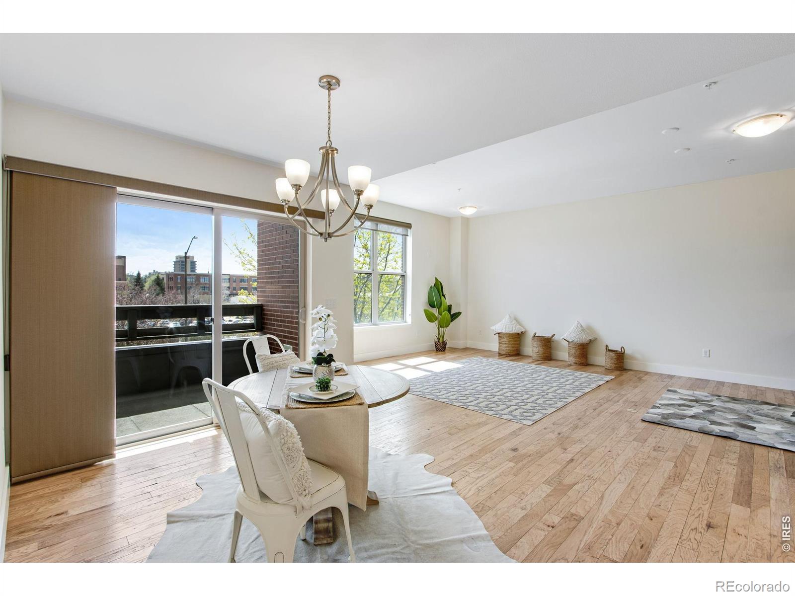 204 Maple Street Fort Collins CO 80521