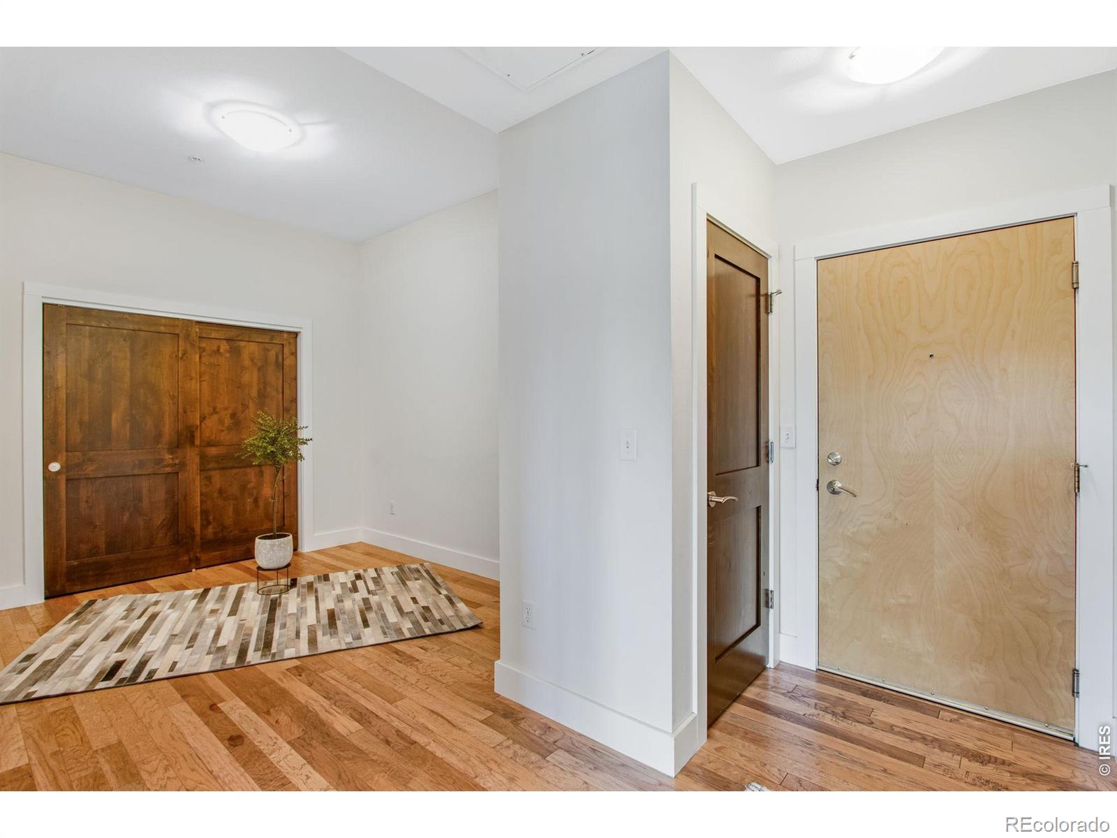 204 Maple Street Fort Collins CO 80521