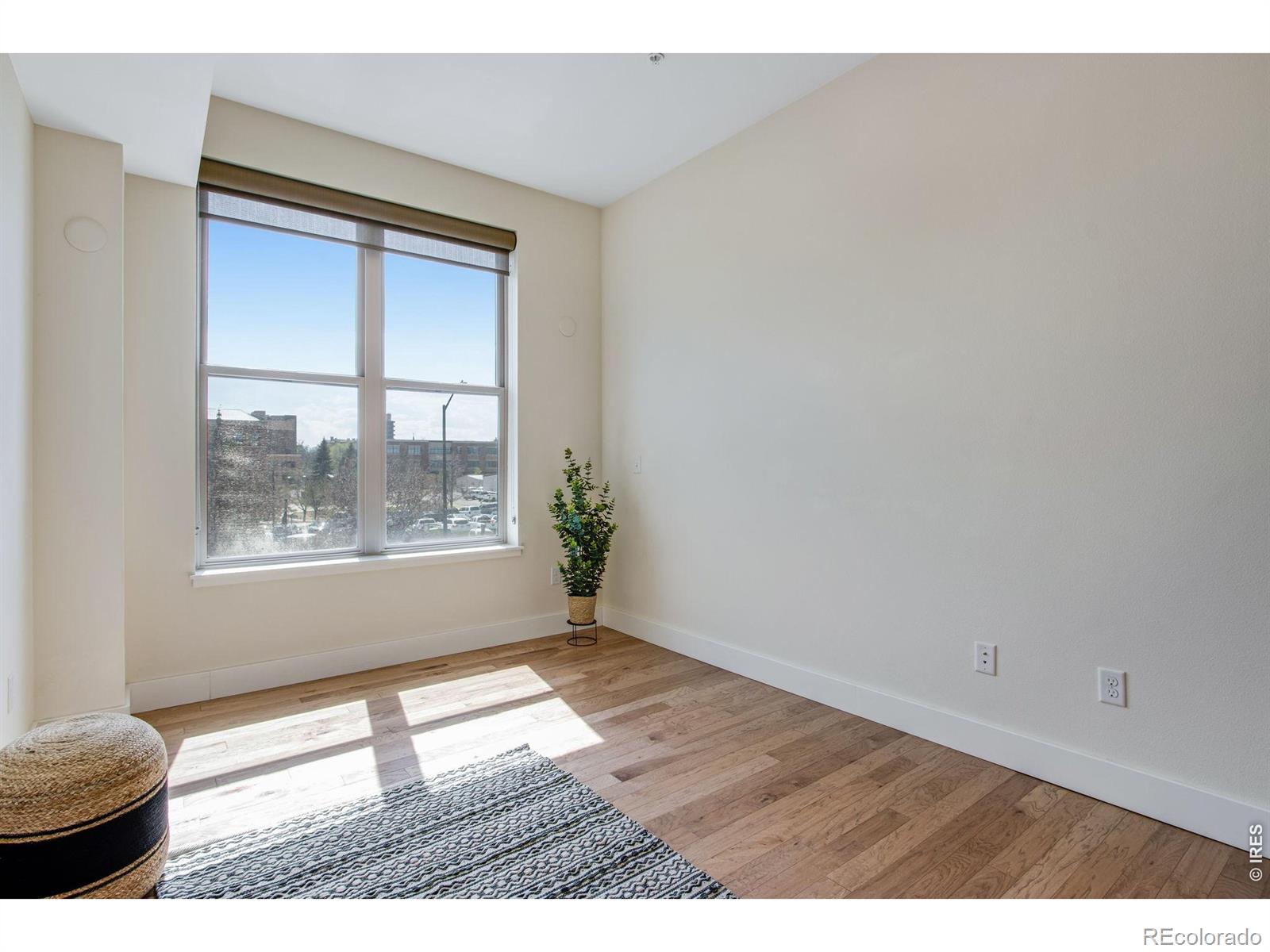 204 Maple Street Fort Collins CO 80521