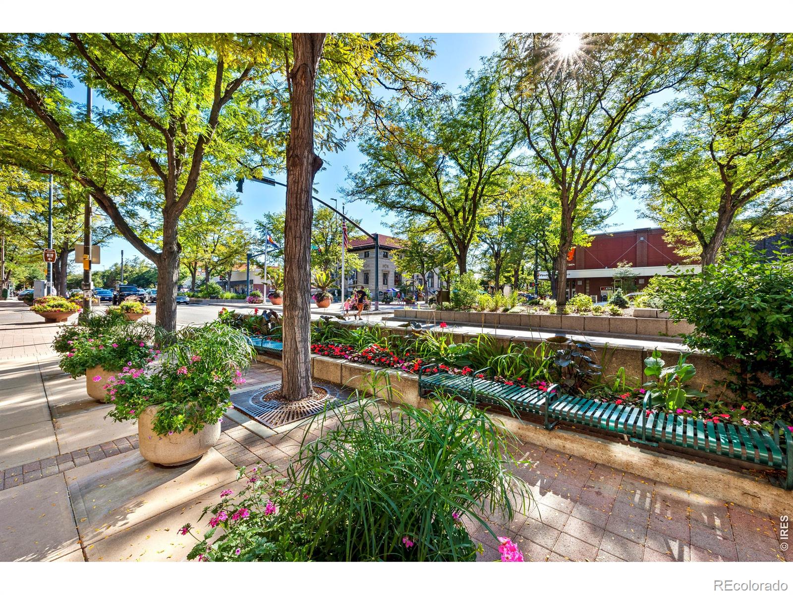 204 Maple Street Fort Collins CO 80521