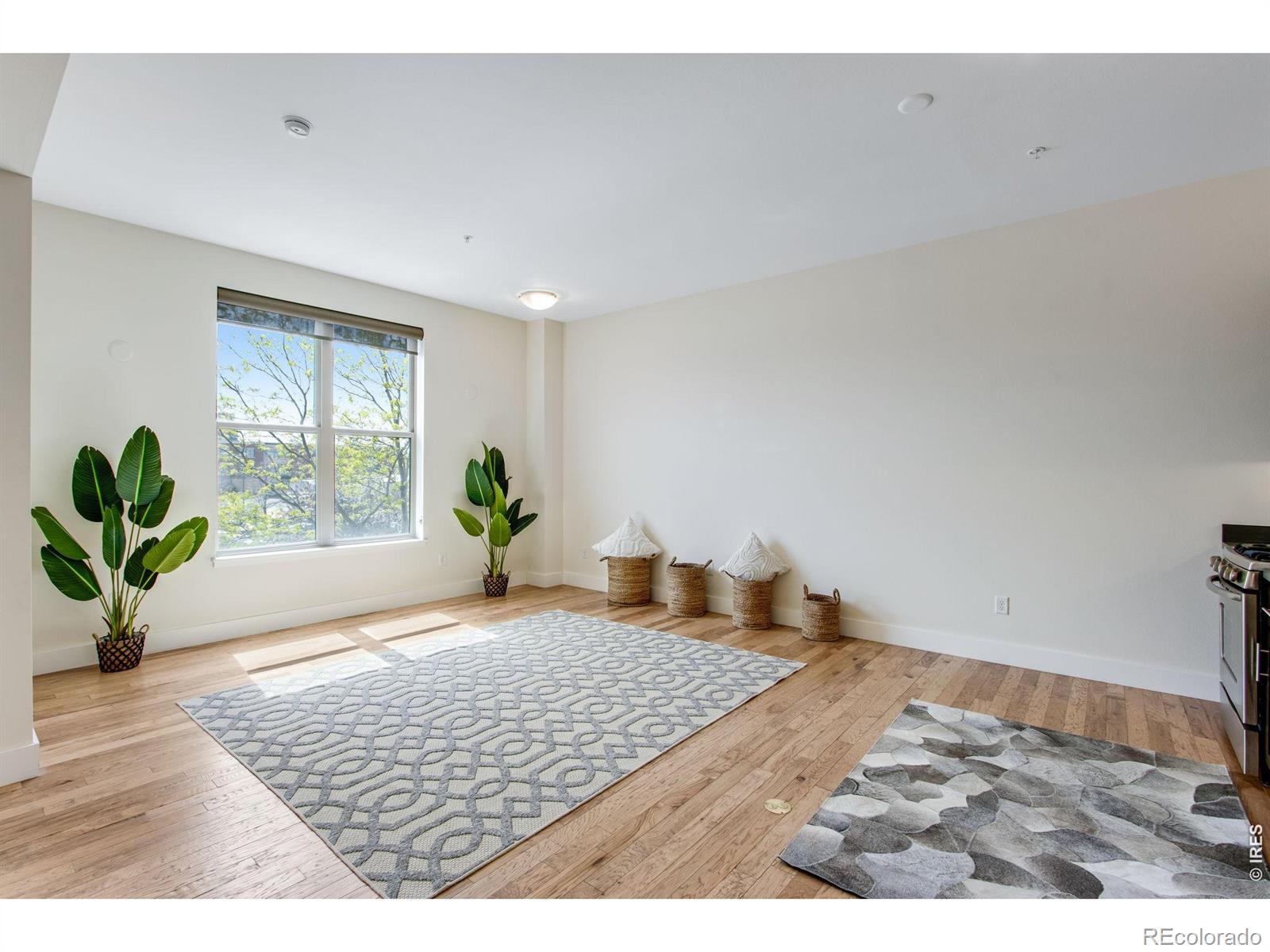 204 Maple Street Fort Collins CO 80521