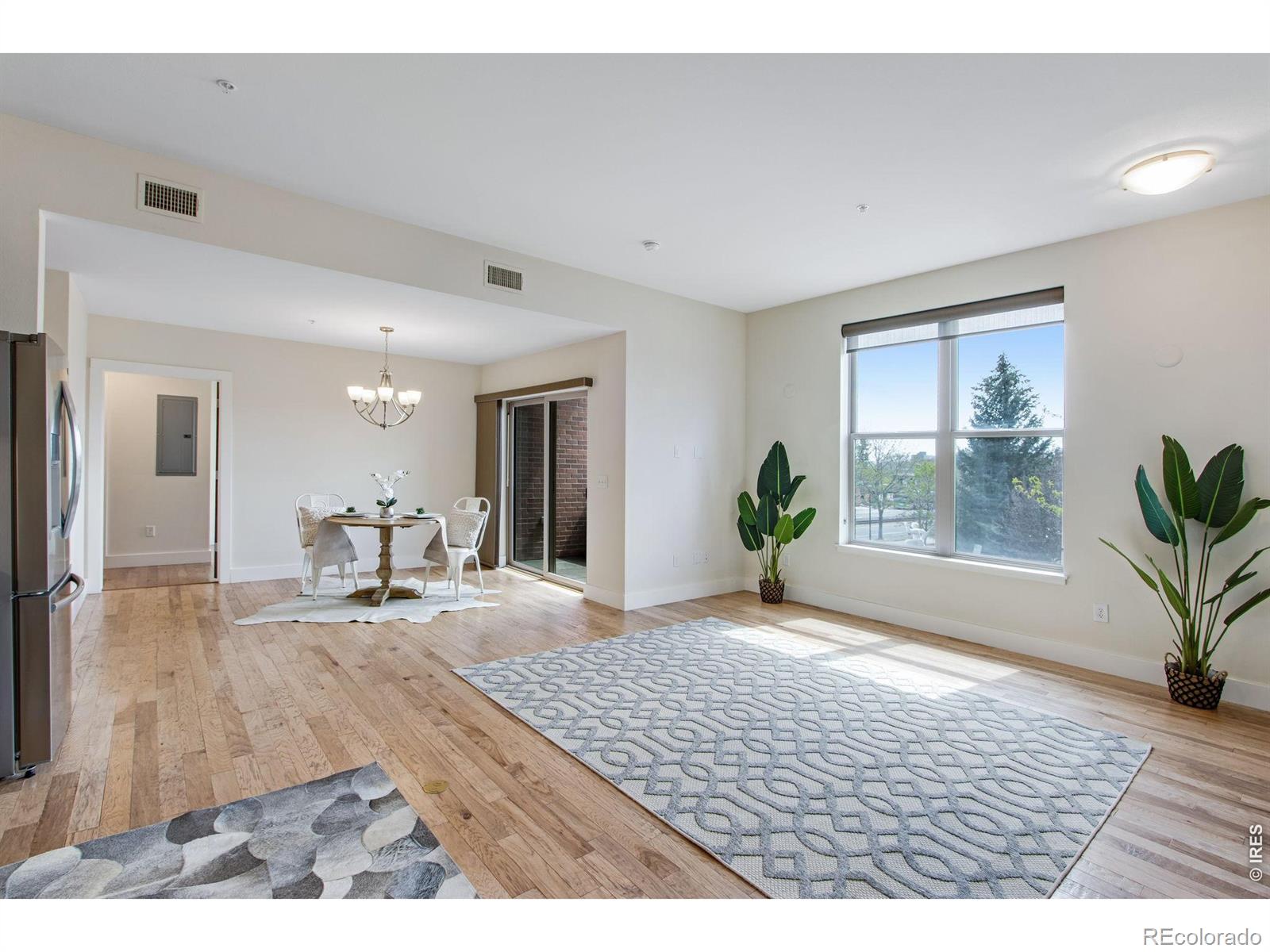 204 Maple Street Fort Collins CO 80521