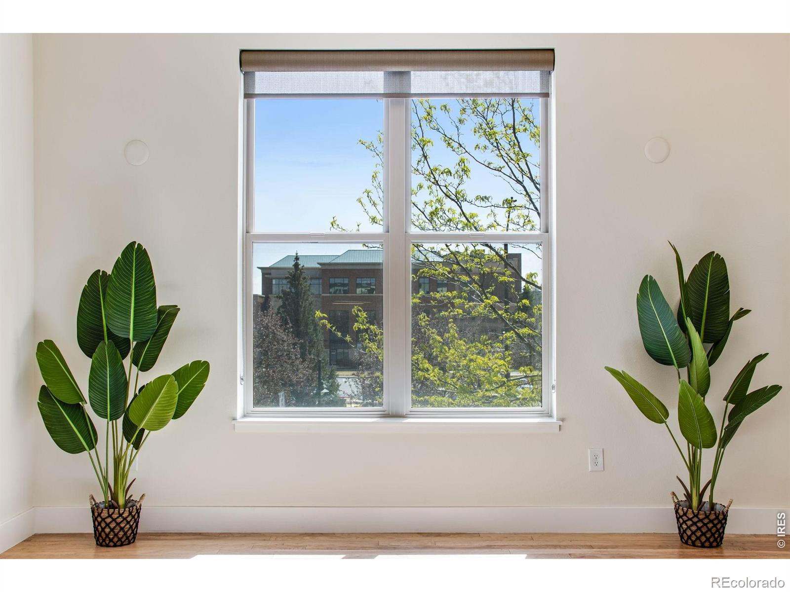 204 Maple Street Fort Collins CO 80521