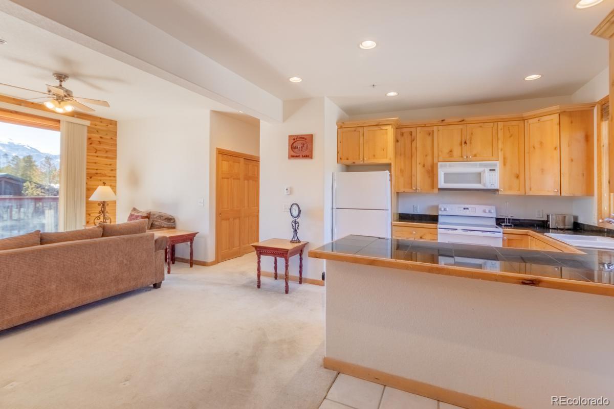 207 Bella Vista Court Grand Lake CO 80447