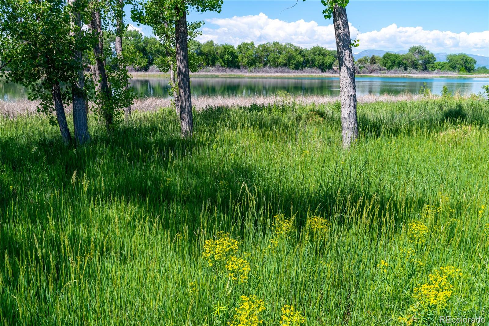 2978 Fleet Drive Fort Collins CO 80524