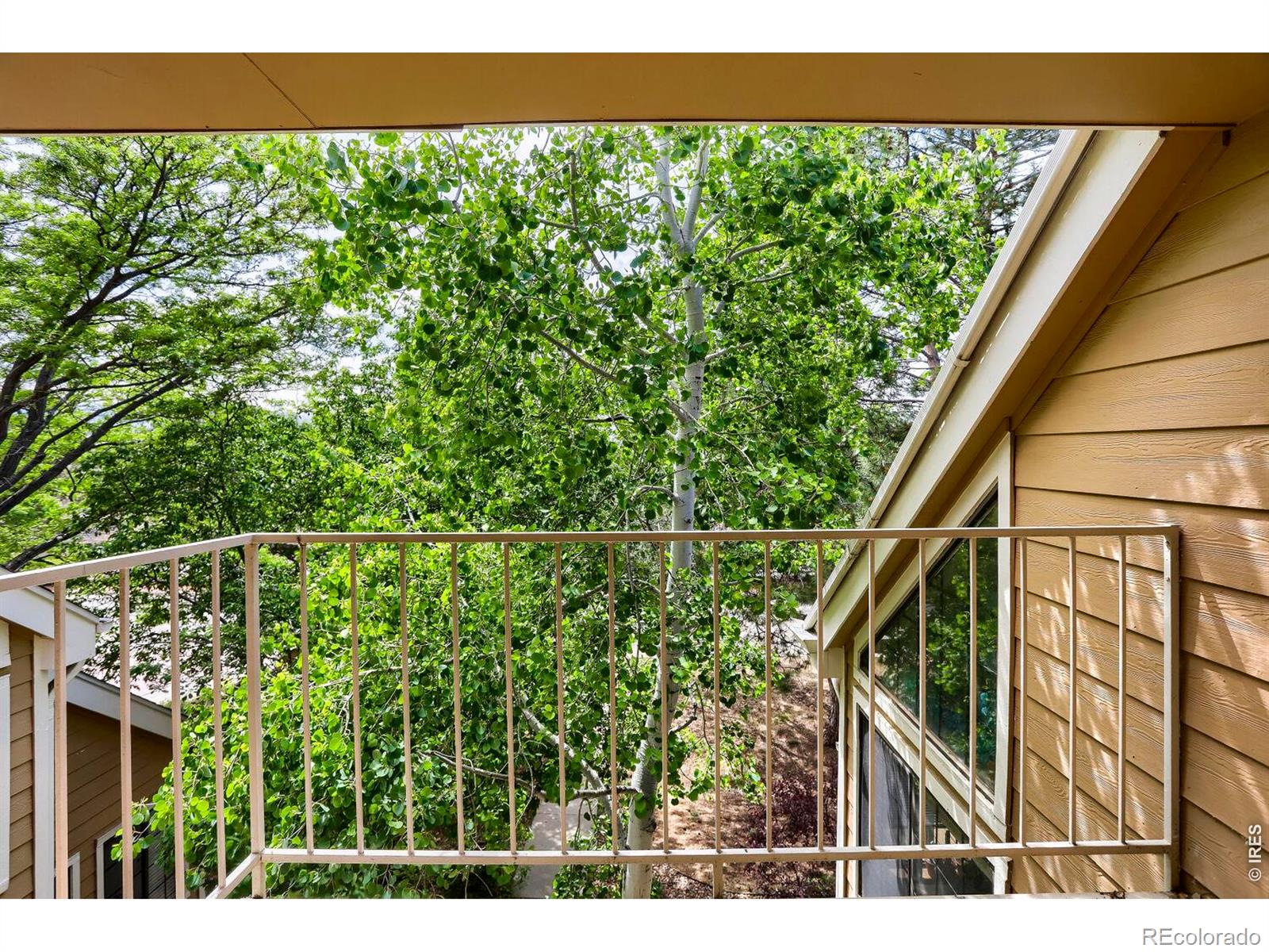 5924 Gunbarrel Avenue Boulder CO 80301