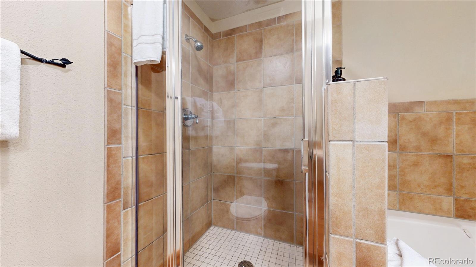 224 Trailhead Drive Dillon CO 80435