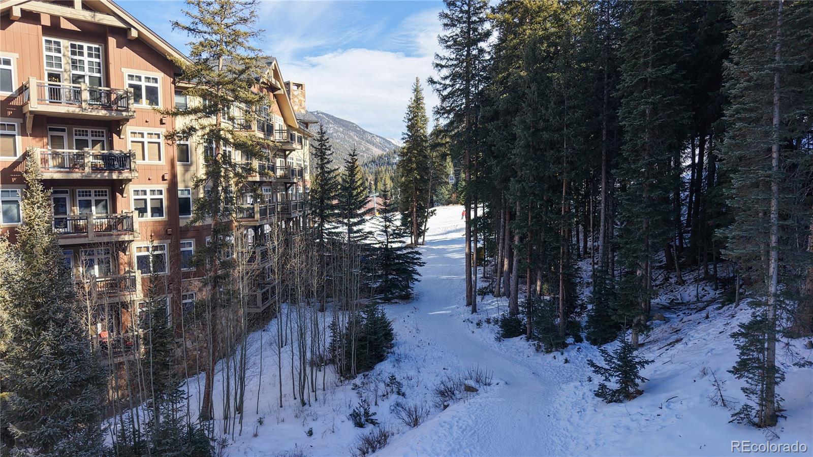 224 Trailhead Drive Dillon CO 80435