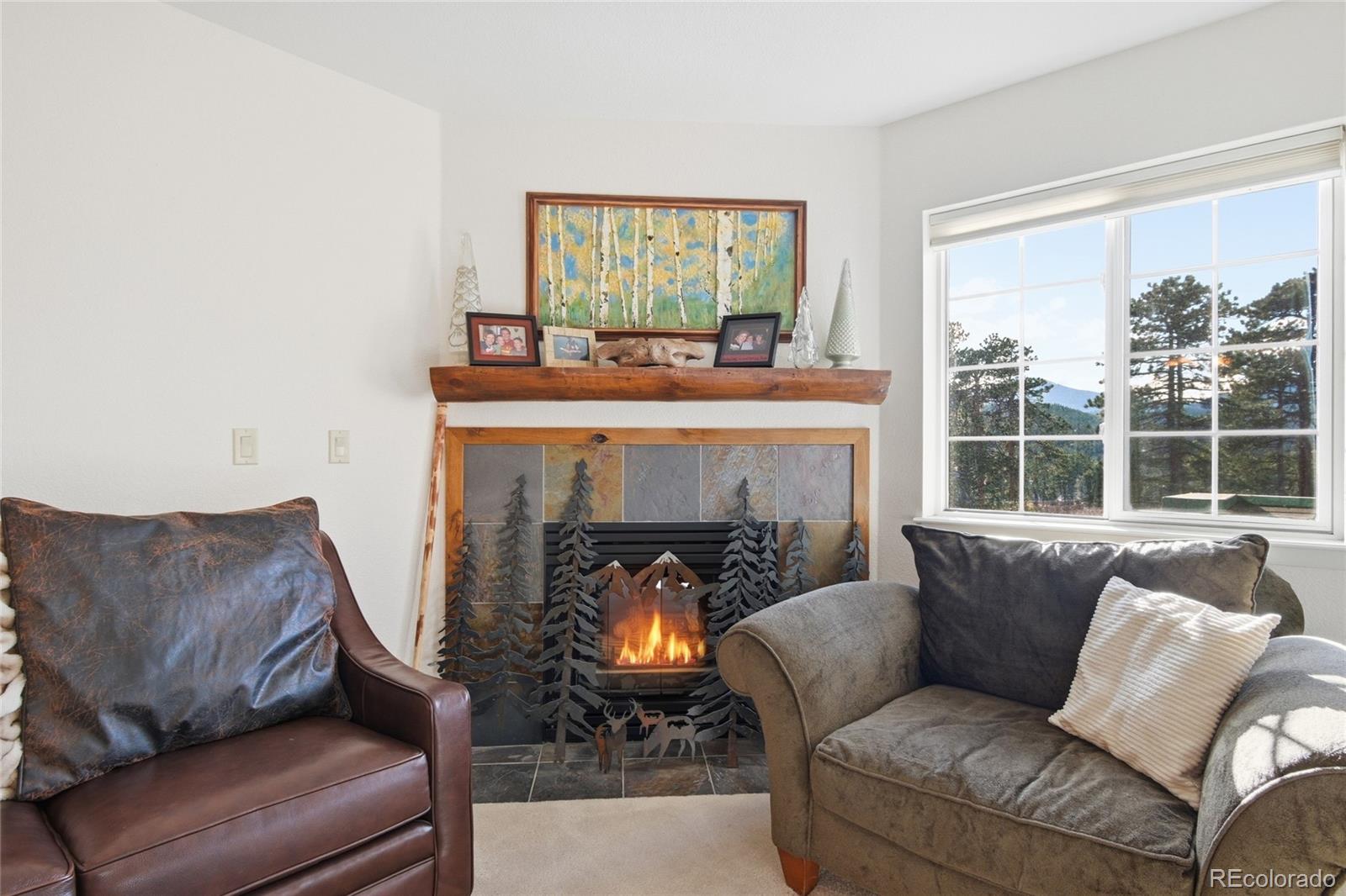 31819 Rocky Village Drive Evergreen CO 80439