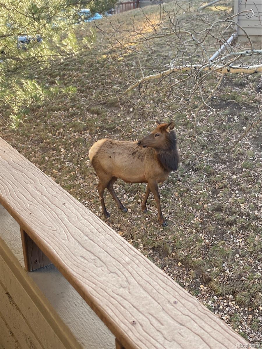 23660 Pondview Place Golden CO 80401