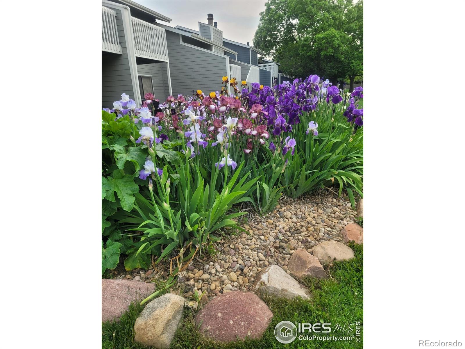 2950 Glenwood Drive Boulder CO 80301