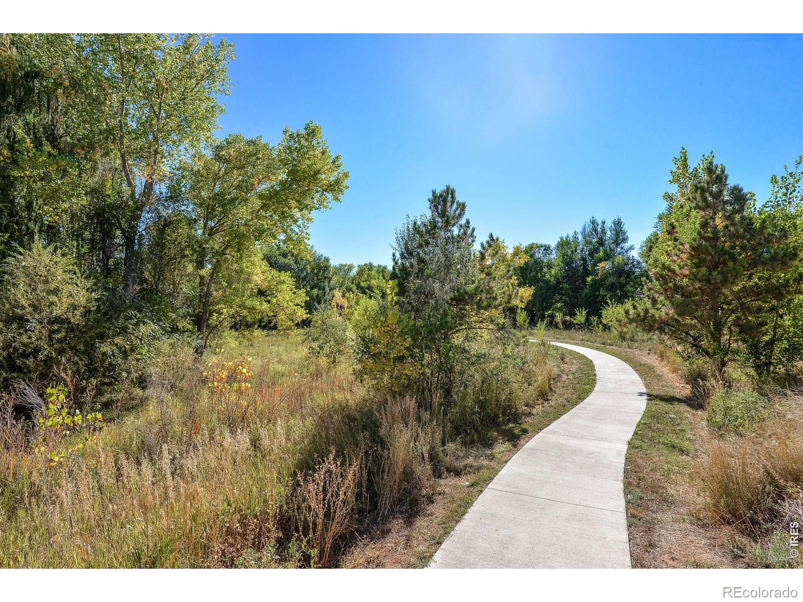 2025 Mathews Street Fort Collins CO 80525