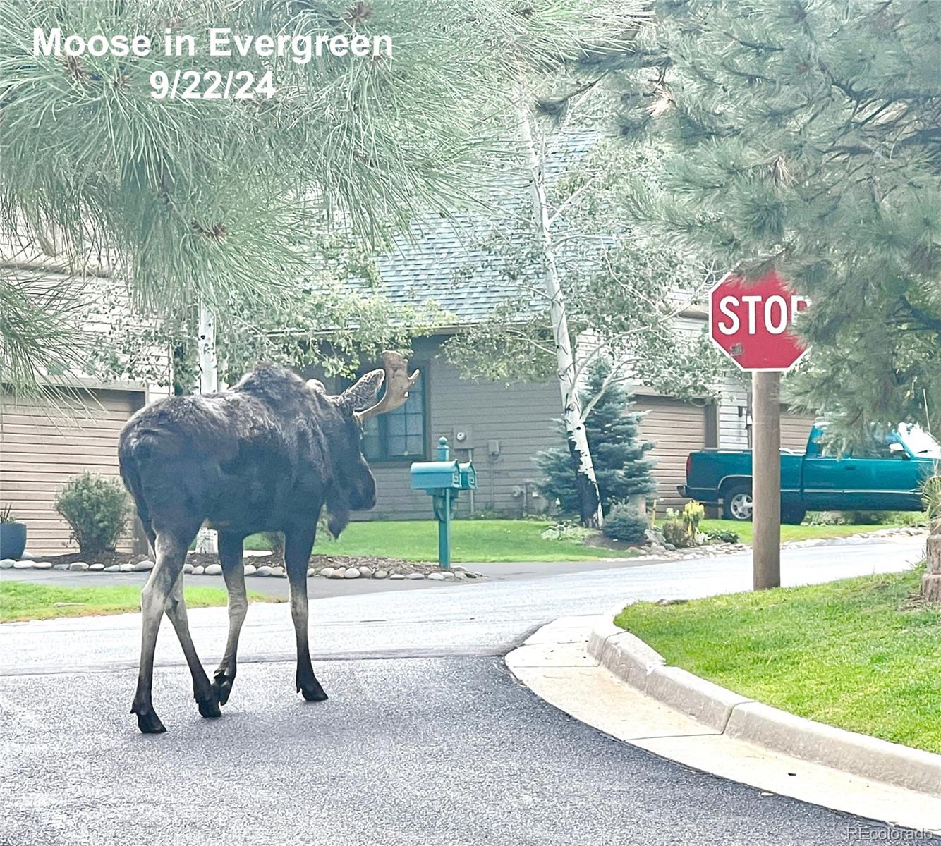 31270 John Wallace Road Evergreen CO 80439