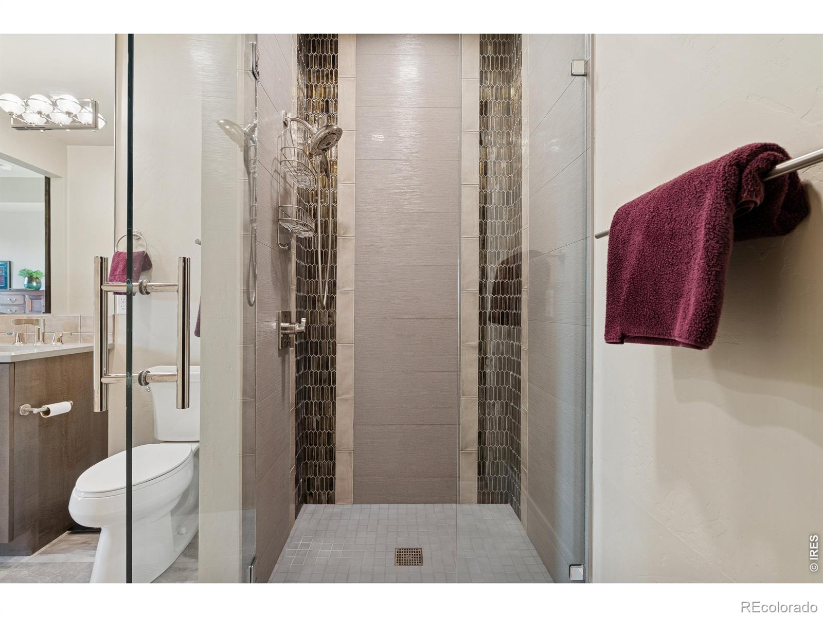 302 N Meldrum Street Fort Collins CO 80521