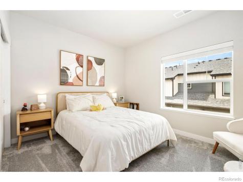 3498 Grayling Drive Loveland CO 80538