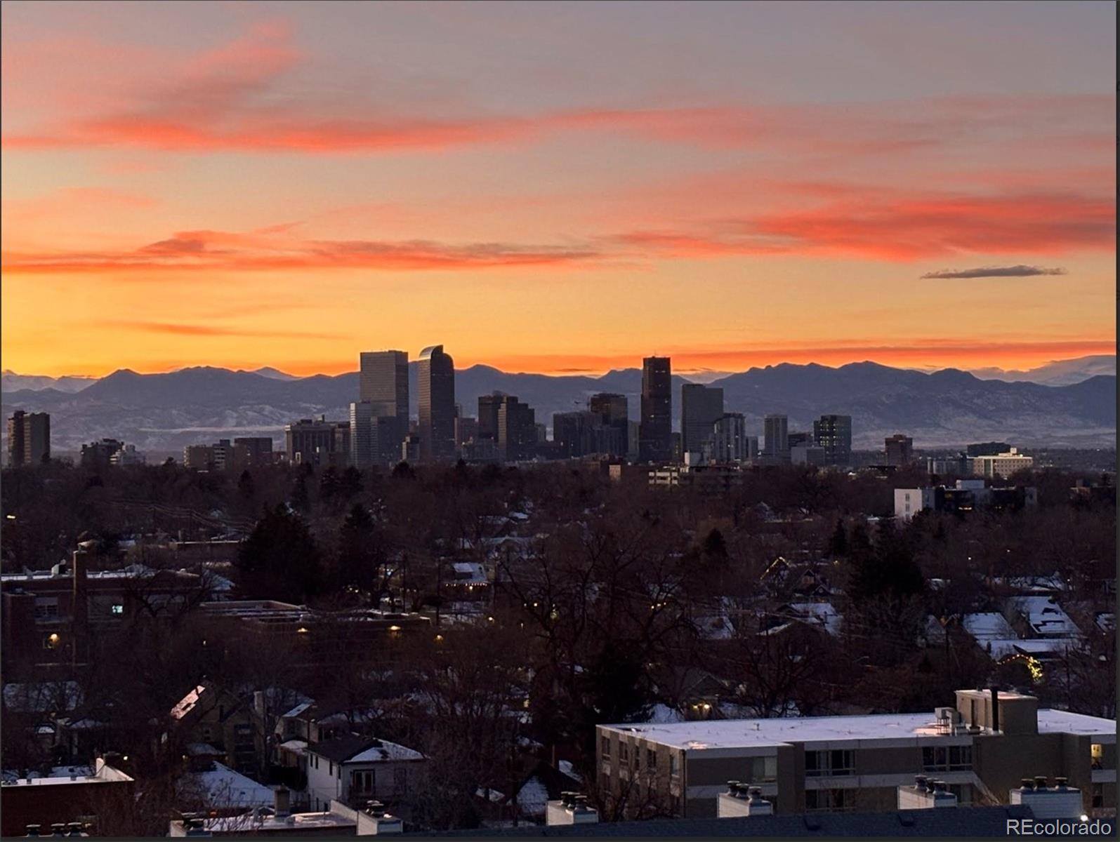 1155 N Ash Street Denver CO 80220