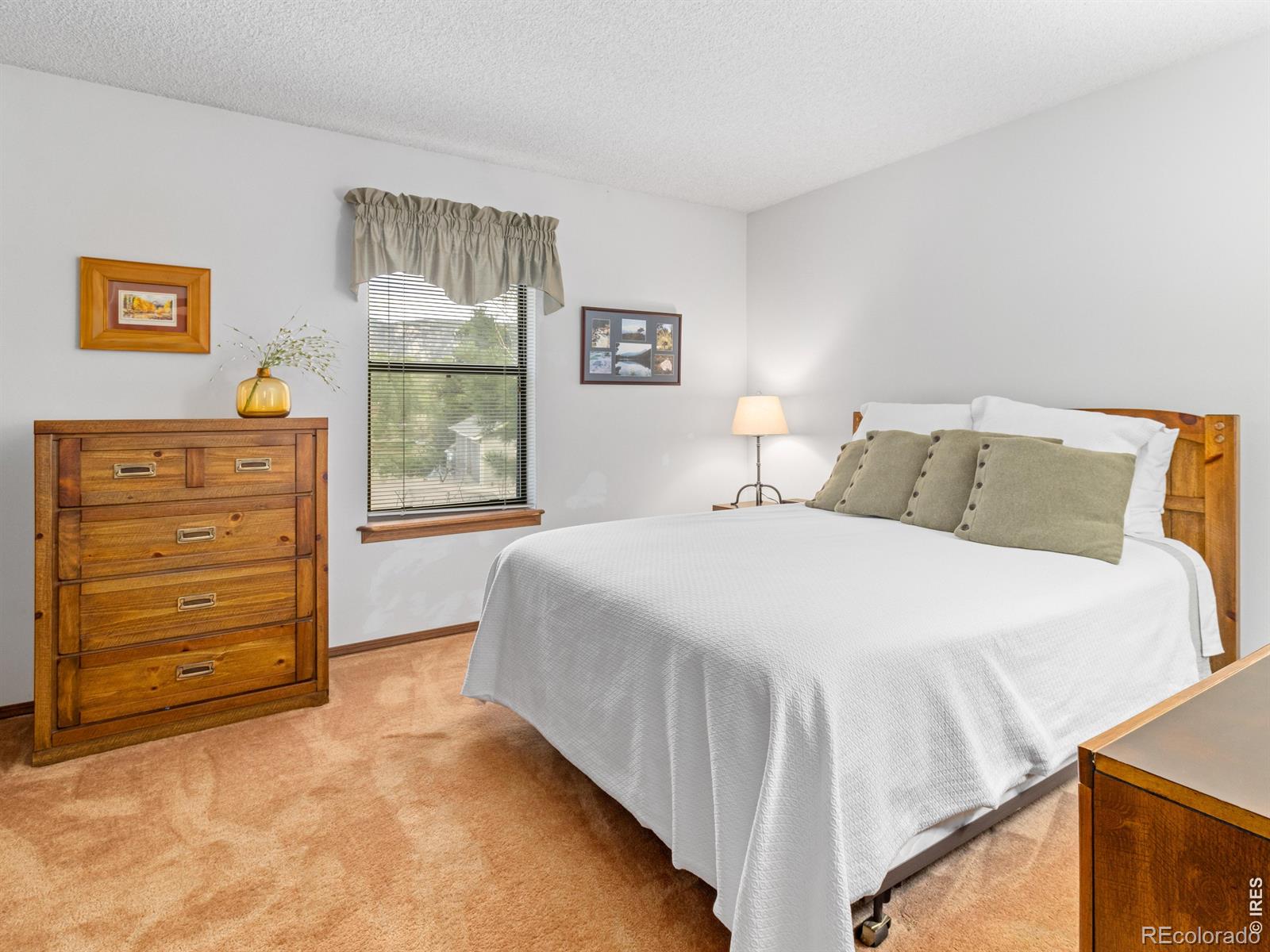 321 Big Horn Drive Estes Park CO 80517