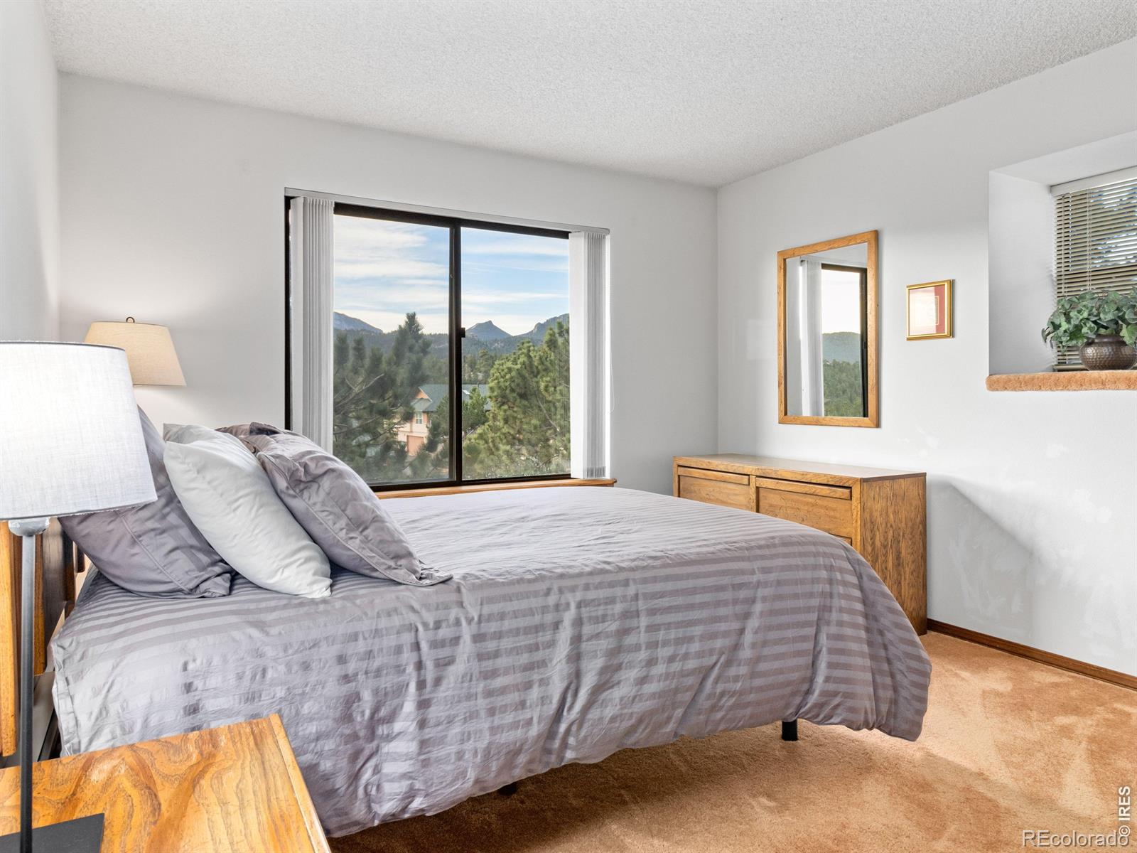 321 Big Horn Drive Estes Park CO 80517