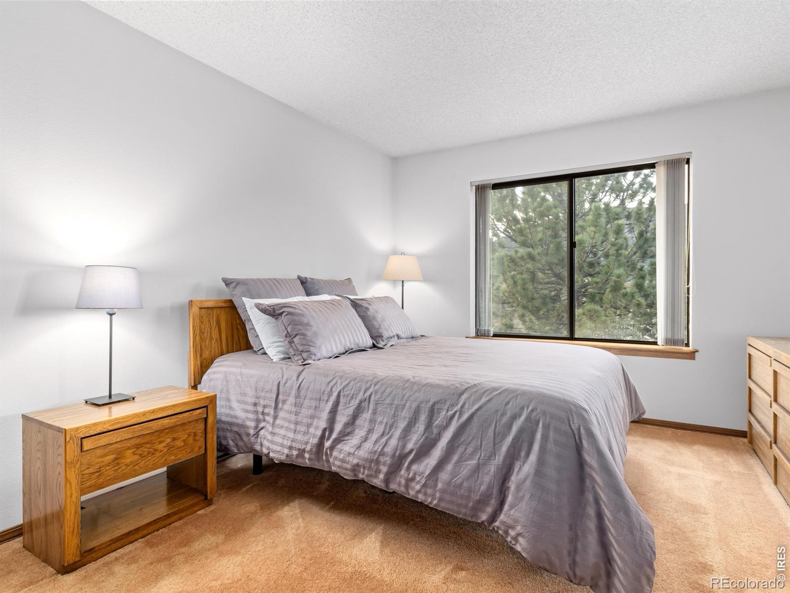 321 Big Horn Drive Estes Park CO 80517