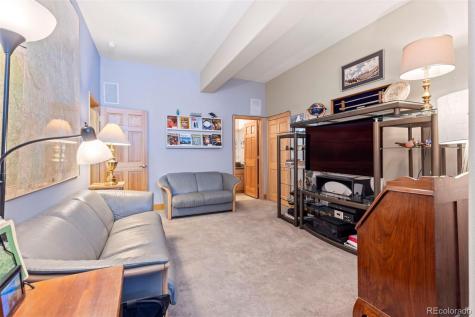 31 Tall Pines Drive Breckenridge CO 80424