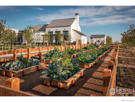 6315 Deerfoot Drive Loveland CO 80538