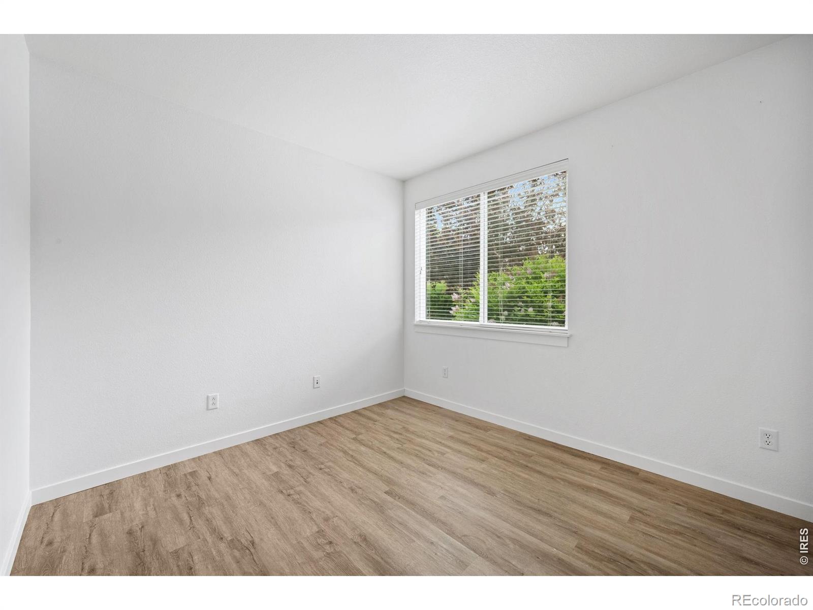 1907 Grays Peak Drive Loveland CO 80538