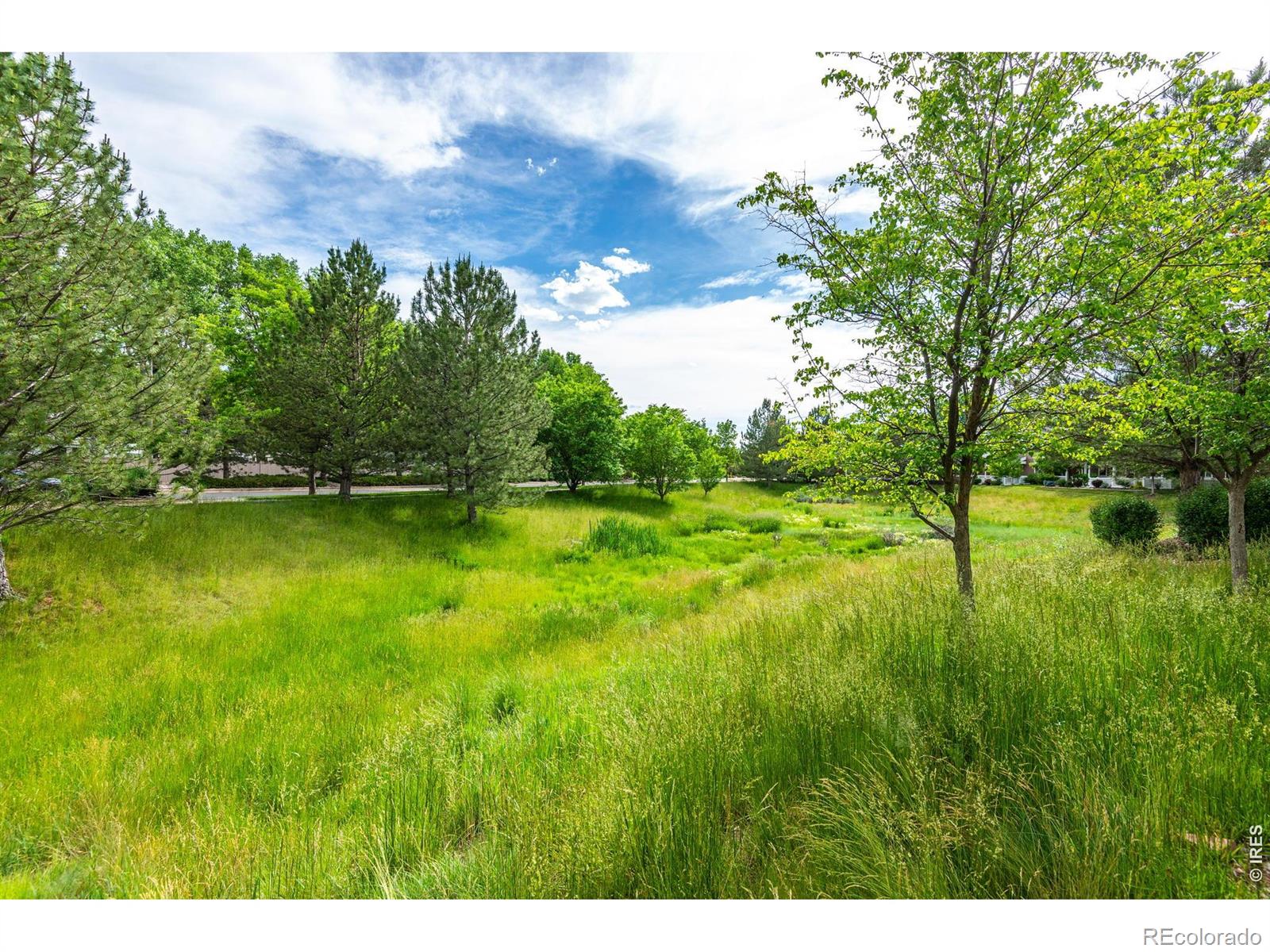 1907 Grays Peak Drive Loveland CO 80538