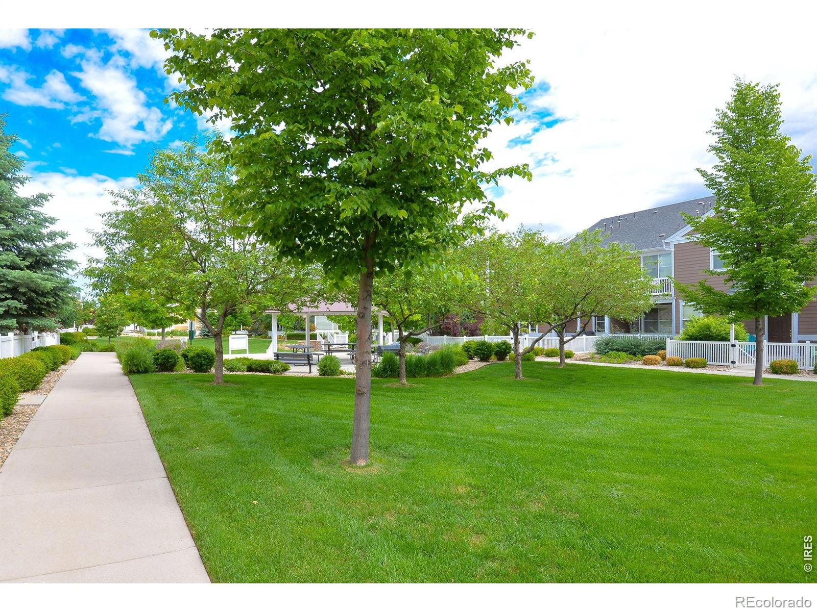 1907 Grays Peak Drive Loveland CO 80538