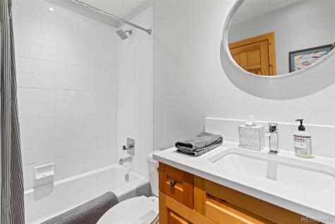 293 Settlers Drive Breckenridge CO 80424