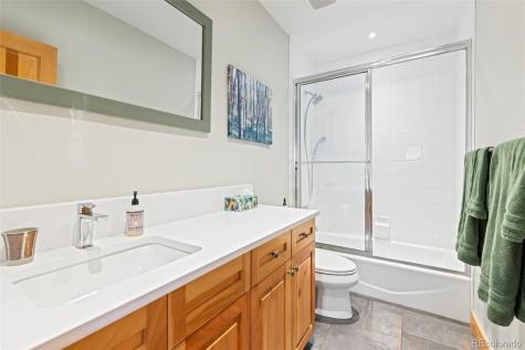 293 Settlers Drive Breckenridge CO 80424