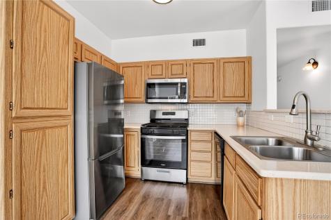 3727 Cactus Creek Court Highlands Ranch CO 80126