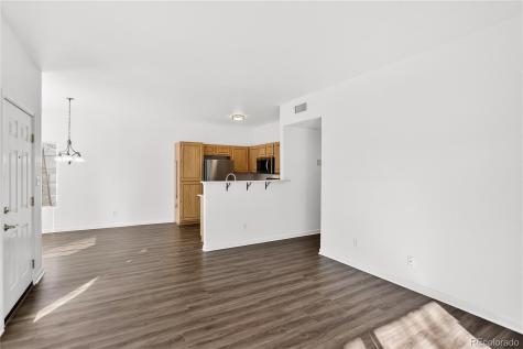 3727 Cactus Creek Court Highlands Ranch CO 80126