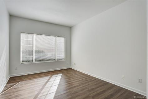 3727 Cactus Creek Court Highlands Ranch CO 80126