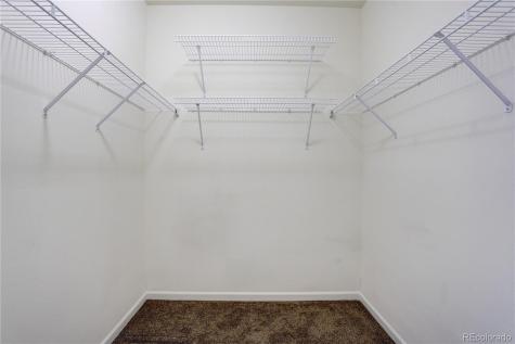 3727 Cactus Creek Court Highlands Ranch CO 80126