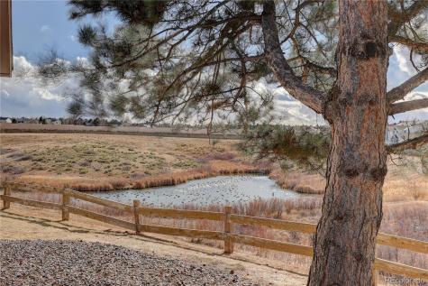 3727 Cactus Creek Court Highlands Ranch CO 80126