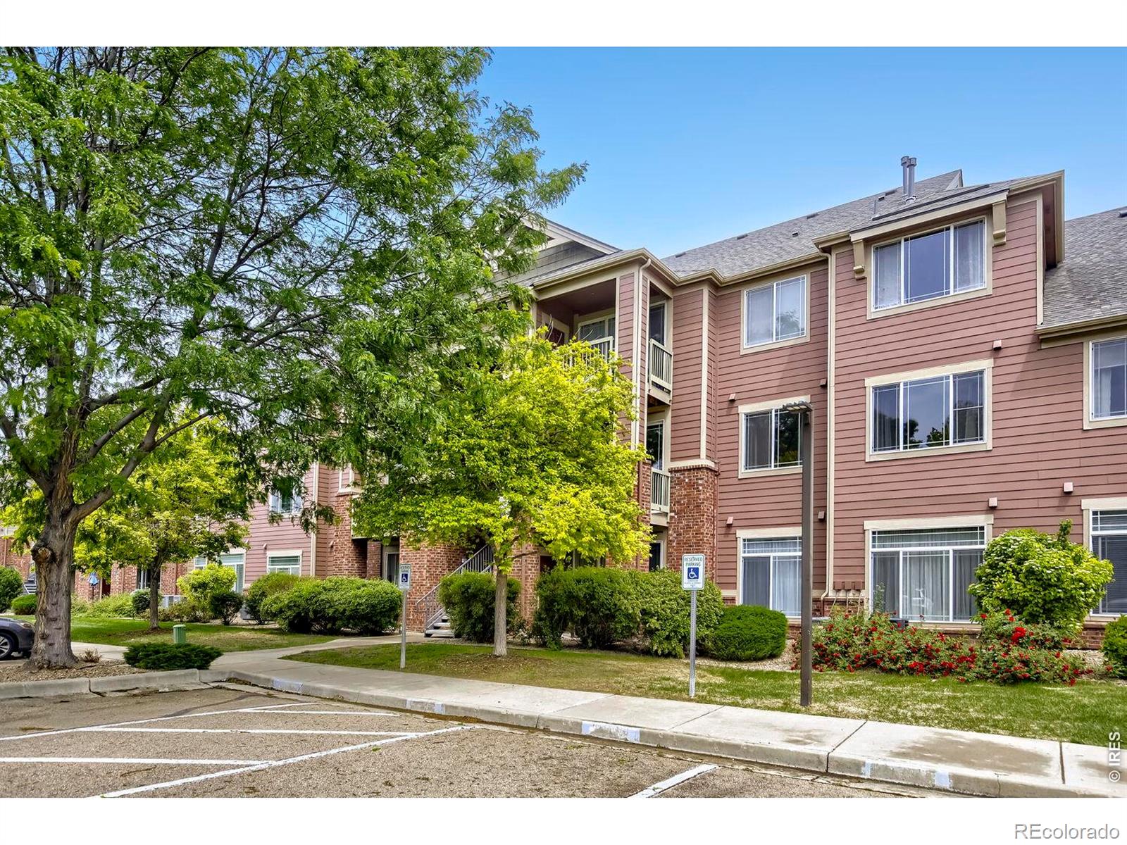 804 Summer Hawk Drive Longmont CO 80504