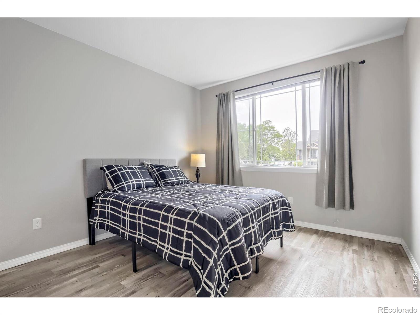 804 Summer Hawk Drive Longmont CO 80504
