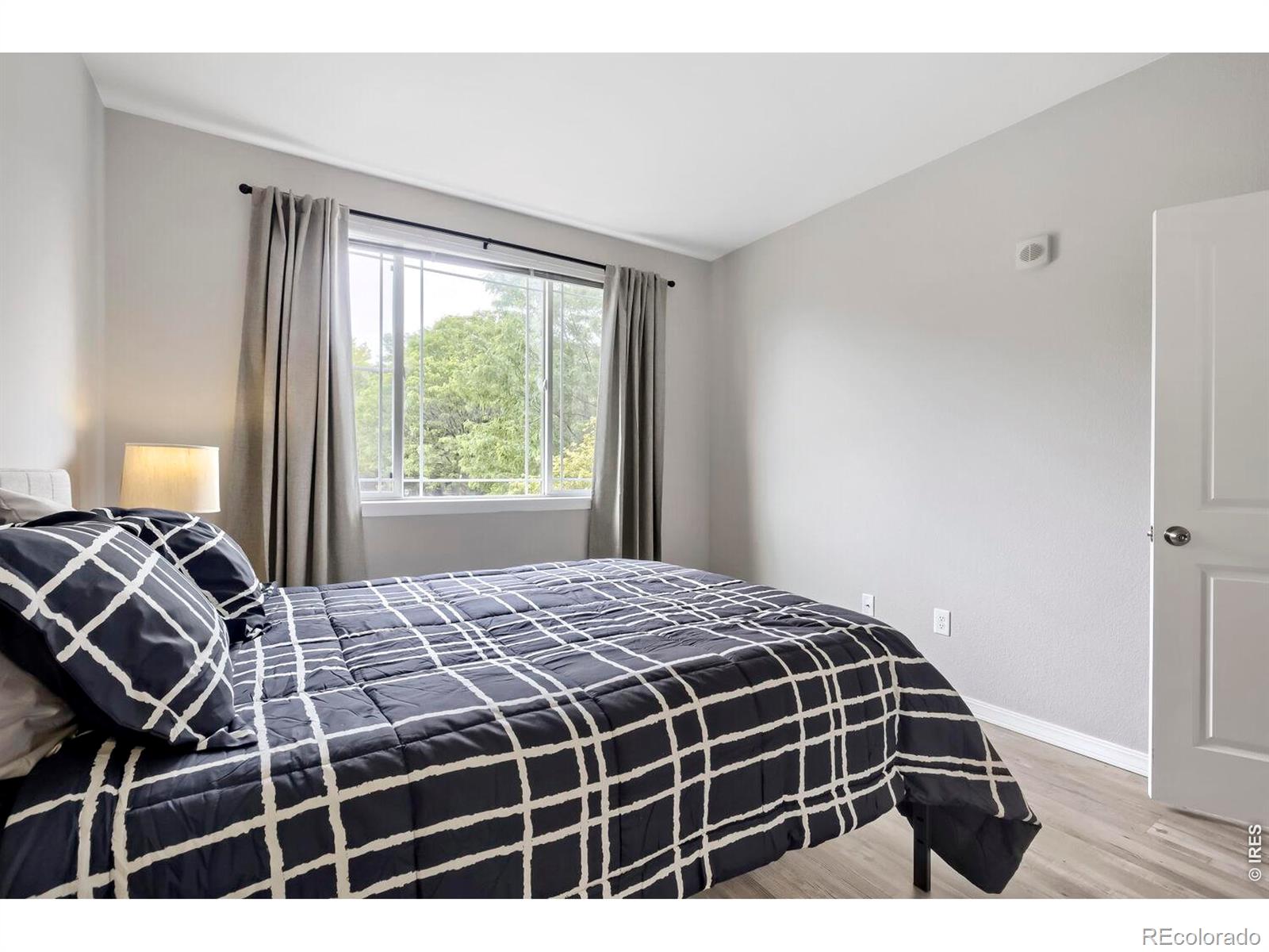 804 Summer Hawk Drive Longmont CO 80504