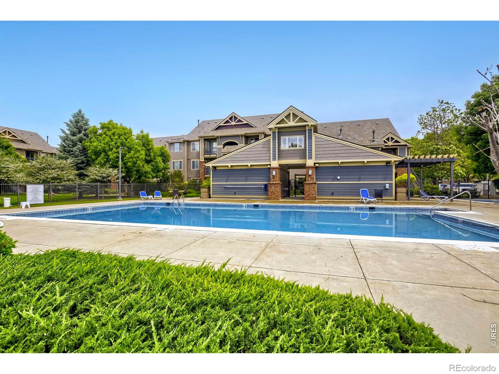 804 Summer Hawk Drive Longmont CO 80504