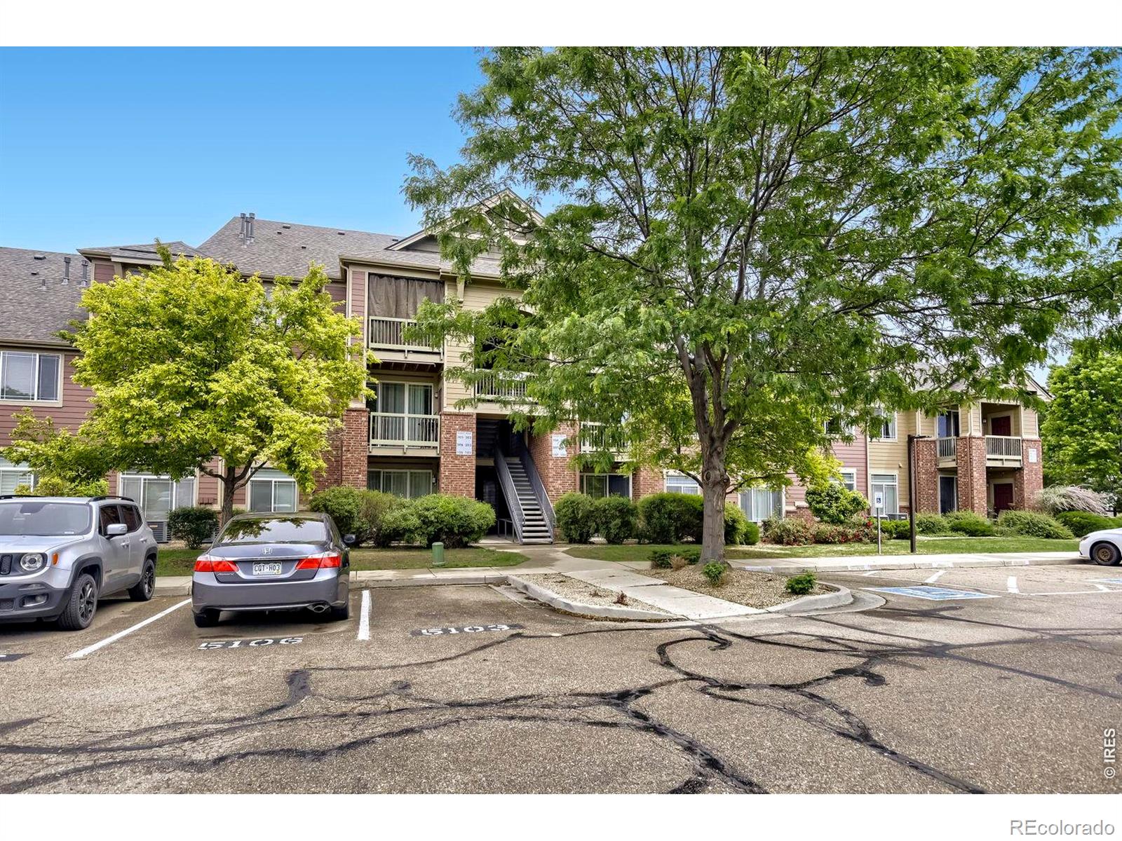 804 Summer Hawk Drive Longmont CO 80504