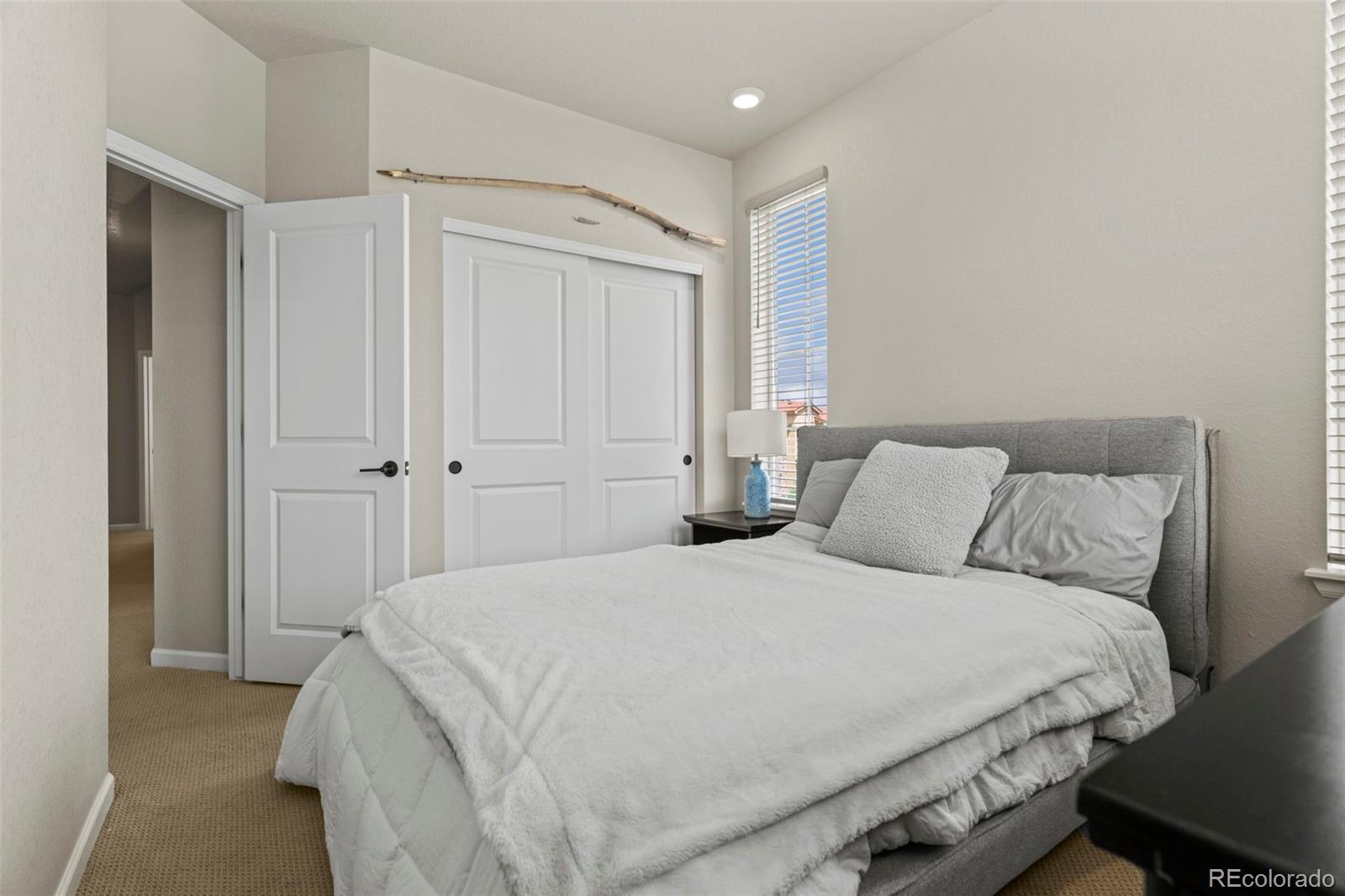 8387 Donati Terrace Littleton CO 80129