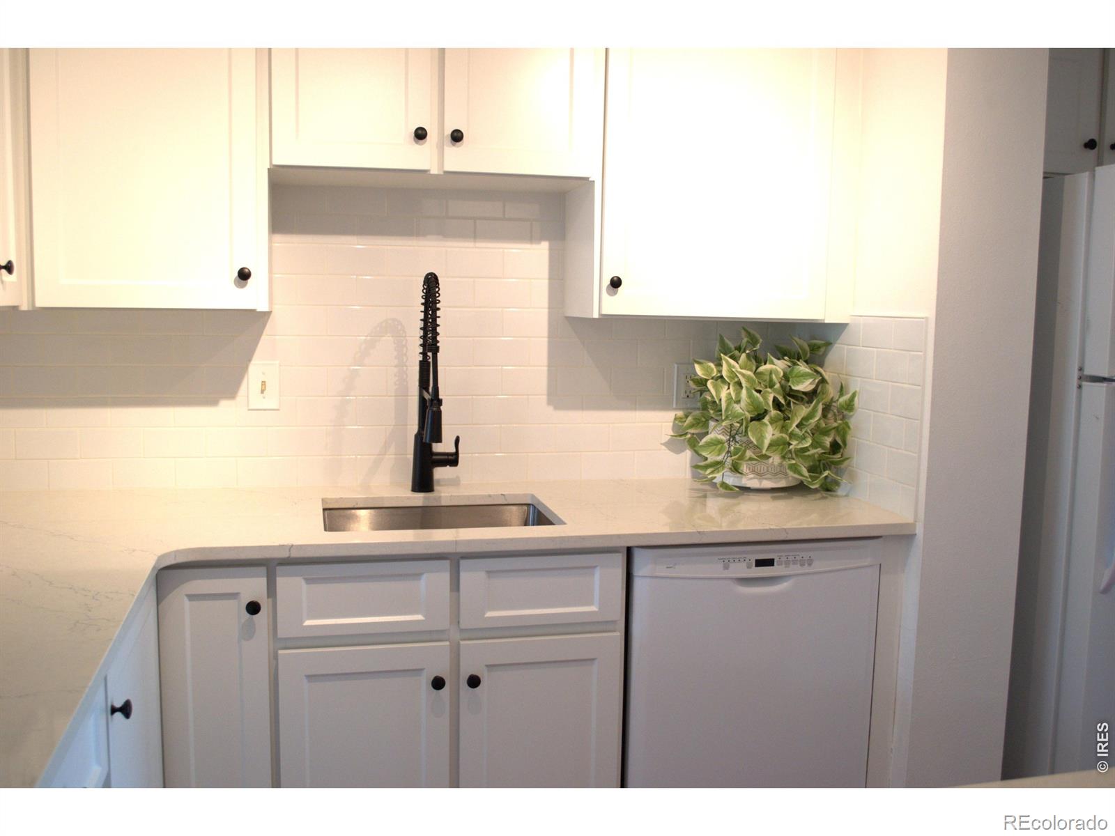 2924 Ross Drive Fort Collins CO 80526