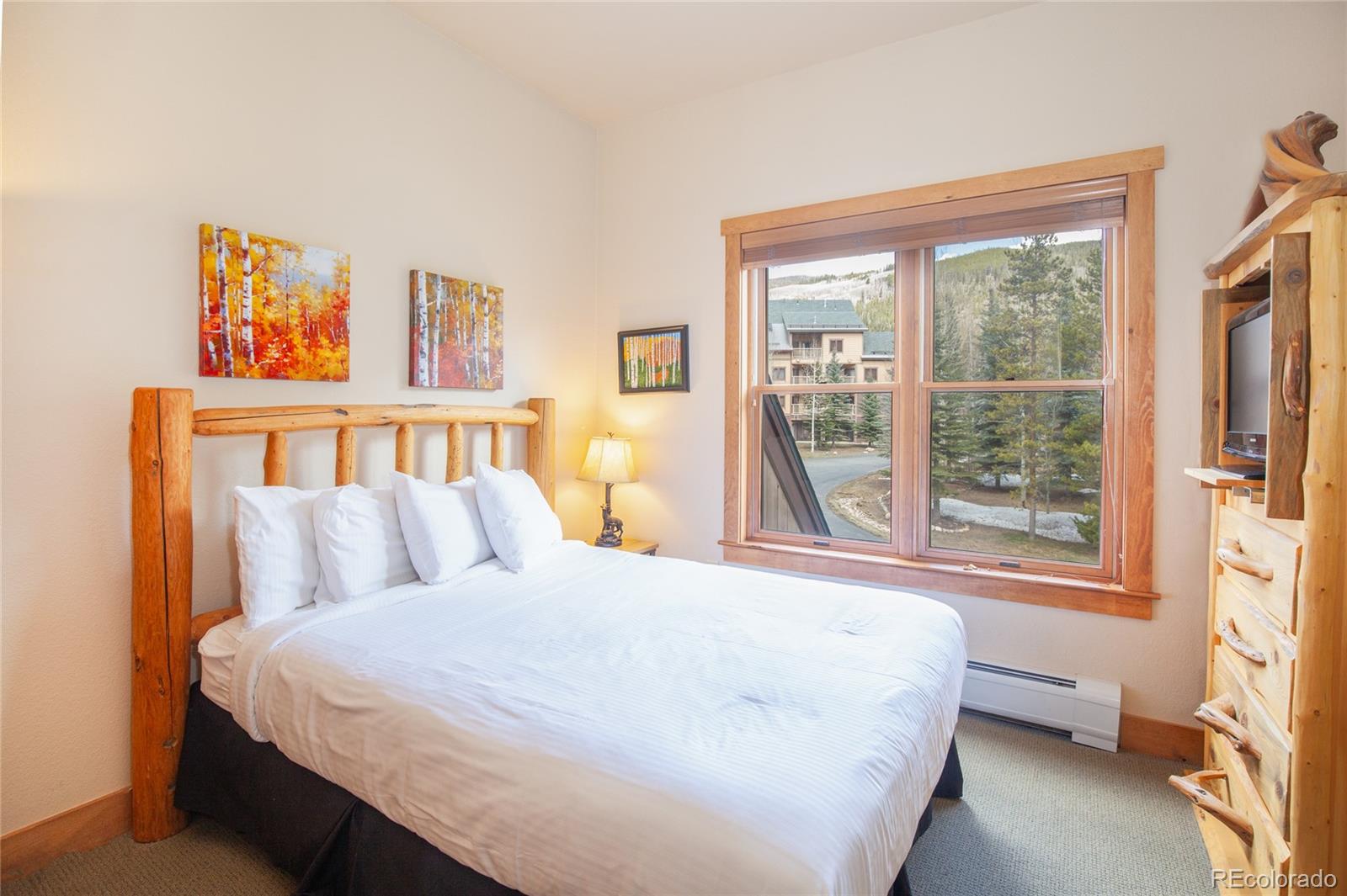 58 Hawk Circle Dillon CO 80435